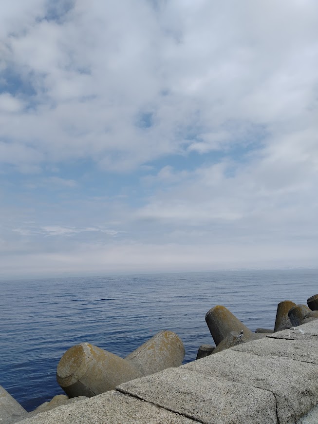 海の景色