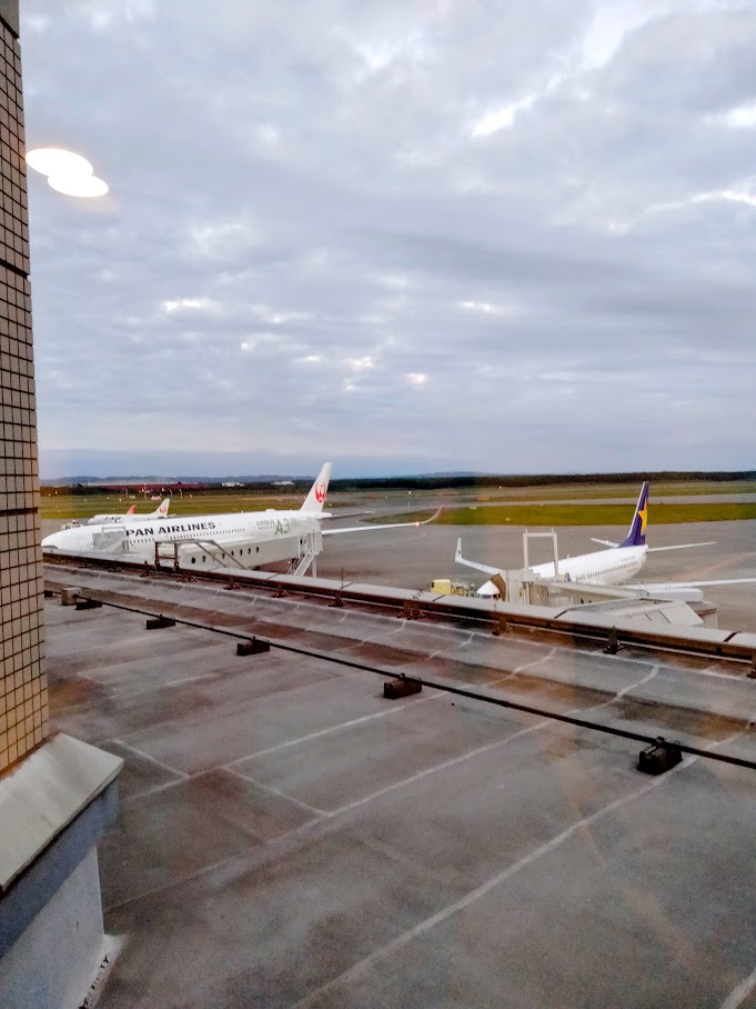 客室窓から見えるJALとスカイマークの機体、北海道の自然豊かな景色